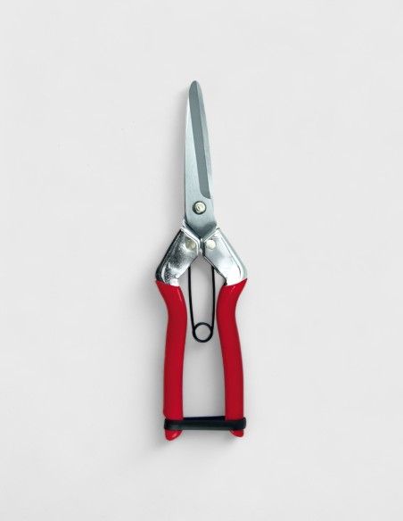 Tijeras para Flores 21 cm con Punta – Corte Preciso