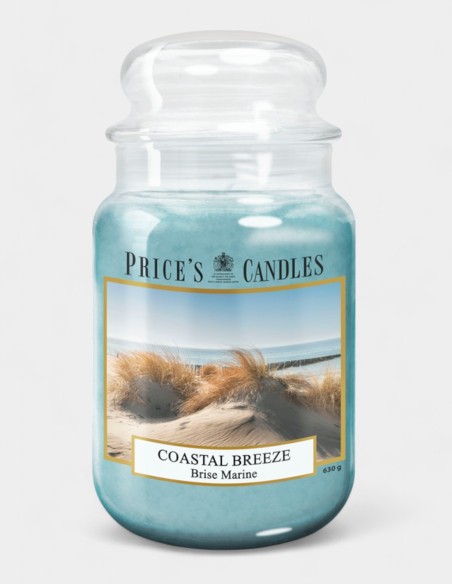 Velas Aromáticas - Elegancia y Frescura para Tu Hogar