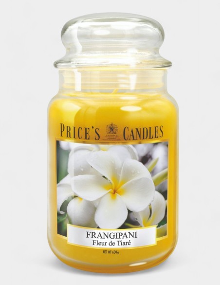 Velas Aromáticas - Elegancia y Frescura para Tu Hogar
