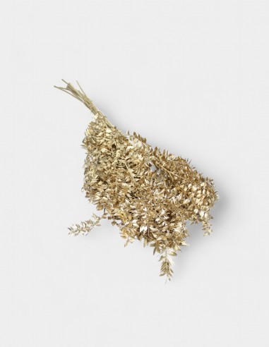 Ramo de Ruscus Preservado en Oro