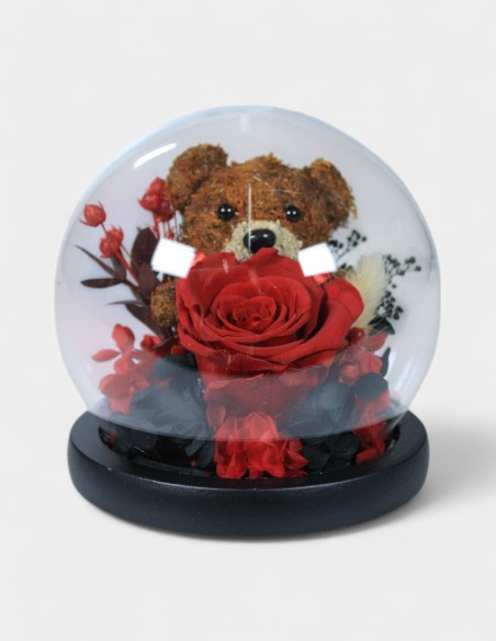 Cúpula con Oso | GalacticBlum