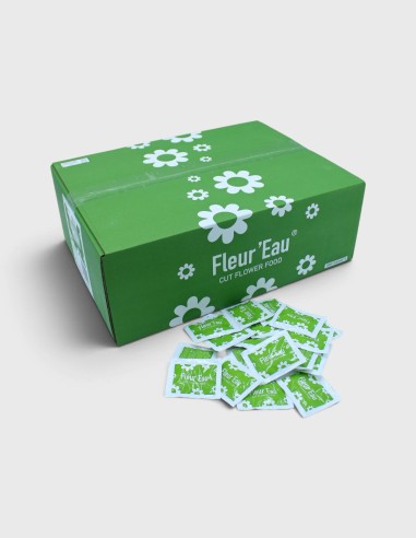 Conservante Vidaflor Fleur Eau