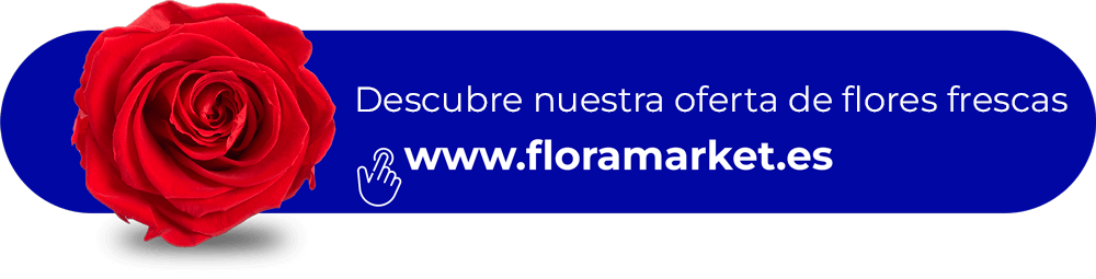 boton floramarket.es