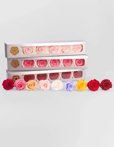 Cabeza Rosas Preservadas Kiara | GalacticBlum