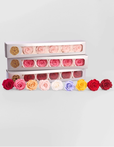 Cabeza Rosas Preservadas Kiara | GalacticBlum