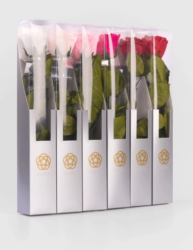 Rosa Preservada con Tallo KIARA 35 Cm | GalacticBlum
