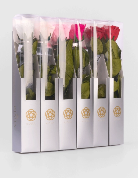 Rosa Preservada con Tallo KIARA 35 Cm | GalacticBlum