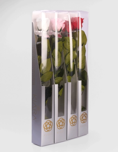 Rosa Preservada con Tallo Kiara 55 Cm | GalacticBlum