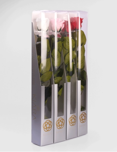 Rosa Preservada con Tallo Kiara 55 Cm | GalacticBlum