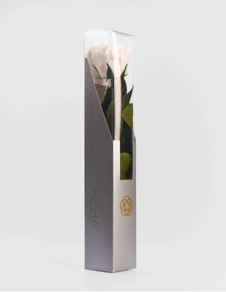 Rosa Preservada con Tallo KIARA 35 Cm | GalacticBlum