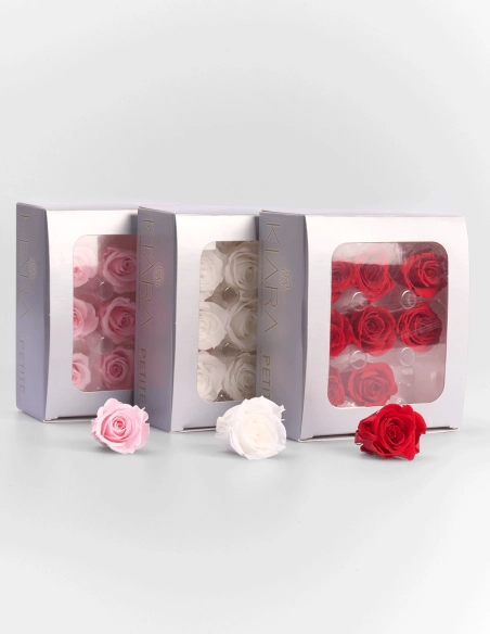 Rosa Preservada Botón Petite Kiara (9 Unds.) | GalacticBlum