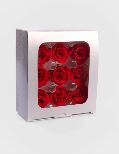 Rosa Preservada Botón Petite Kiara (9 Unds.) | GalacticBlum