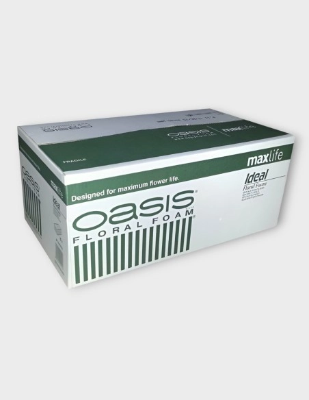 Esponjas Oasis Para Flor Natural (20 uds.)