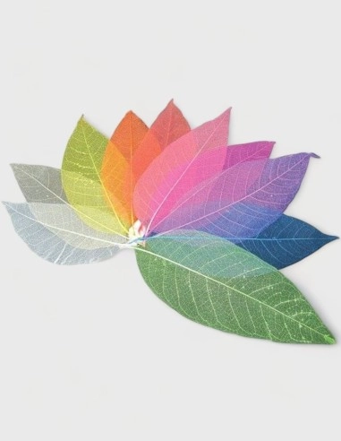 Hojas Decorativas de Colores (50% descuento)