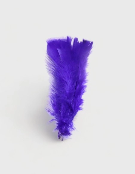 Plumas Decorativas de Colores (50% descuento)
