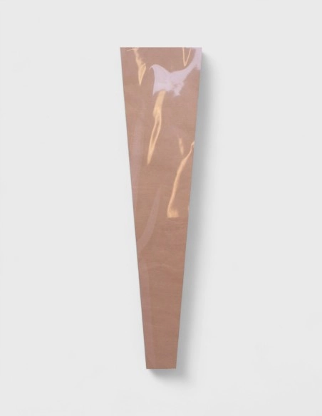 Bolsa para un Tallo de Kraft - Transparente (50 unidades)
