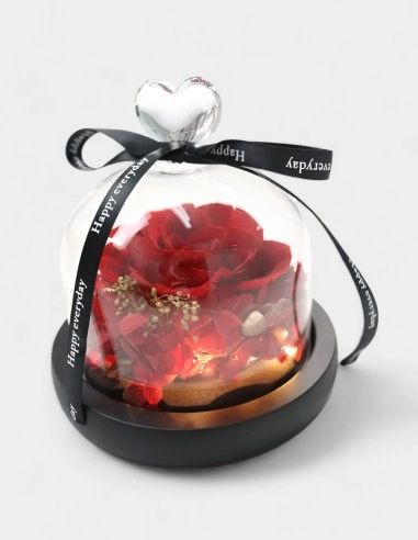 Rosa en cúpula de cristal iluminada