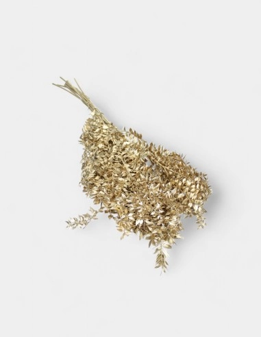 Ramo de Ruscus Preservado en Oro