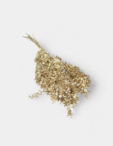 Ramo de Ruscus Preservado en Oro