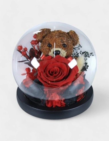 Cúpula con Oso | GalacticBlum