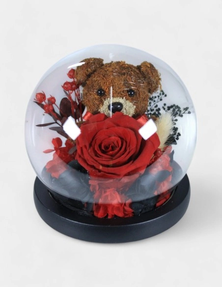 Cúpula con Oso | GalacticBlum