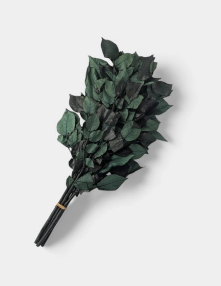 Tallos de Rosas Preservados