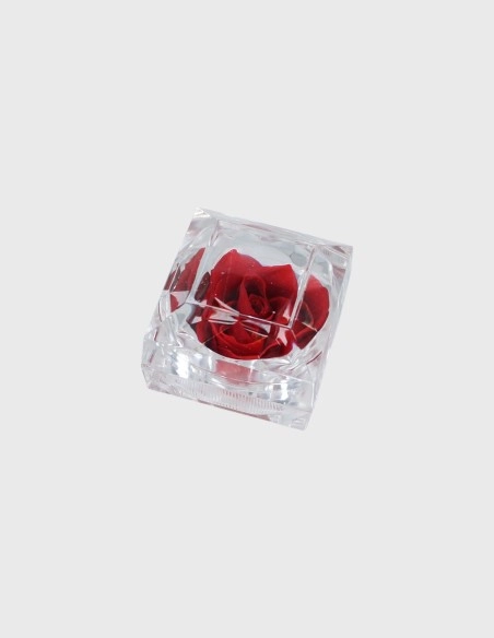 Mini Rosa Preservada en Caja Acrílica | GalacticBlum