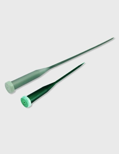 Tubos para Flores con Punta Economy