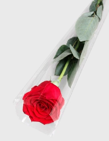 Bolsa de Bouquet para un tallo - Transparente (50 UNDS.)