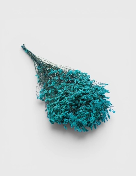 Limonium Preservado Flores