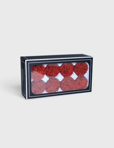 Cabeza Clavel Preservado Lovebay