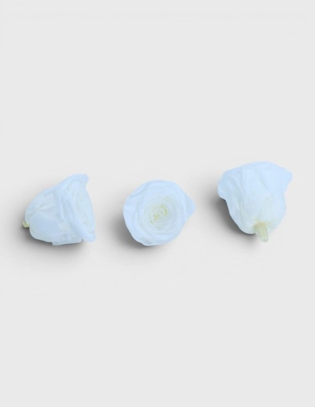 Cabeza Rosas Preservadas Lovebay