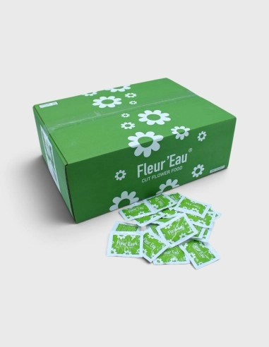 Conservante Vidaflor Fleur Eau