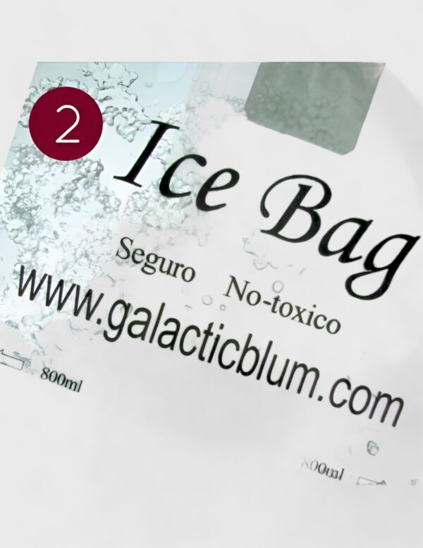 Bolsa de hielo (-30%)