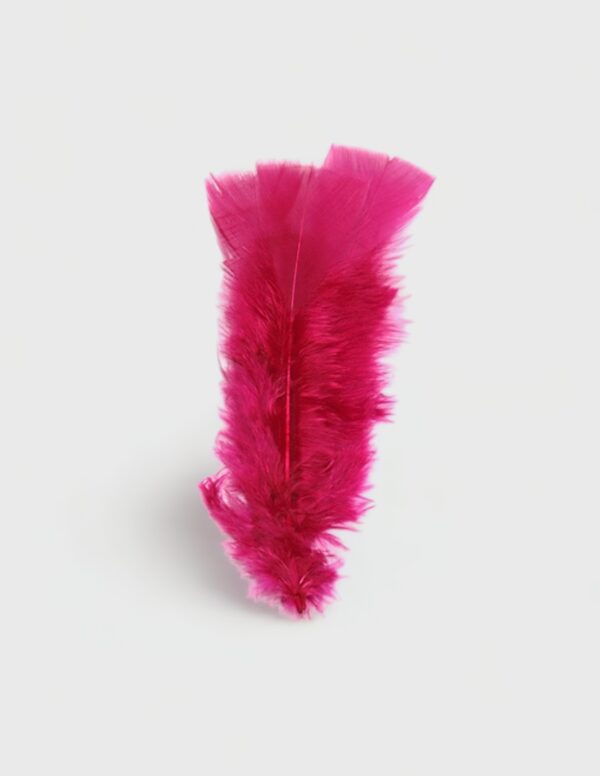 Plumas en Bolsa (20 uds.) (-50%)