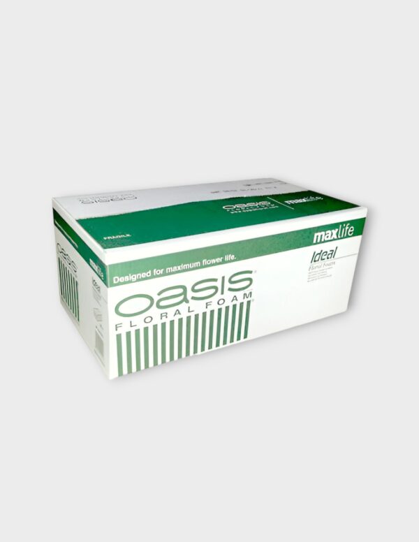 Esponja OASIS Ideal MaxLife - Flor Natural