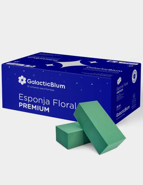 Esponja para Flores Naturales - GalacticBlum Premium (20 unds.)